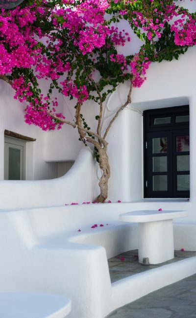 Bright flowers and house design on the island of Mykonos, Greece.